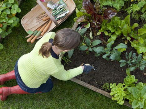 Gardening team reviewing a landscape plan