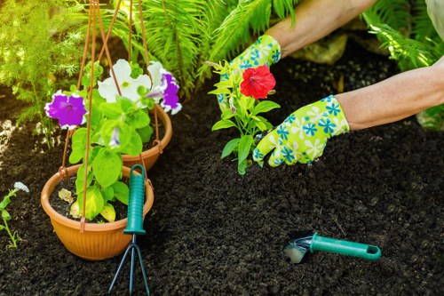 Professional gardener tending to a vibrant garden in Addiscombe